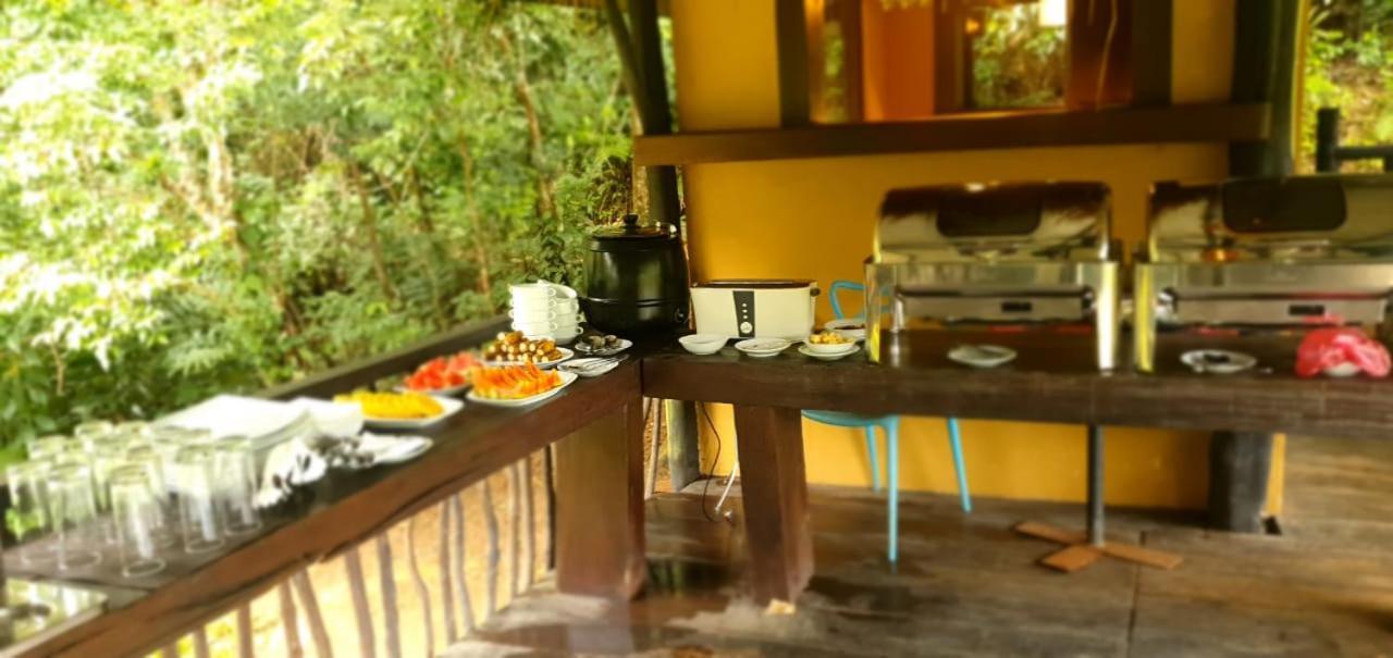 Explore Sinharaja Rain Forest Tour Camp Dombagoda Ngoại thất bức ảnh