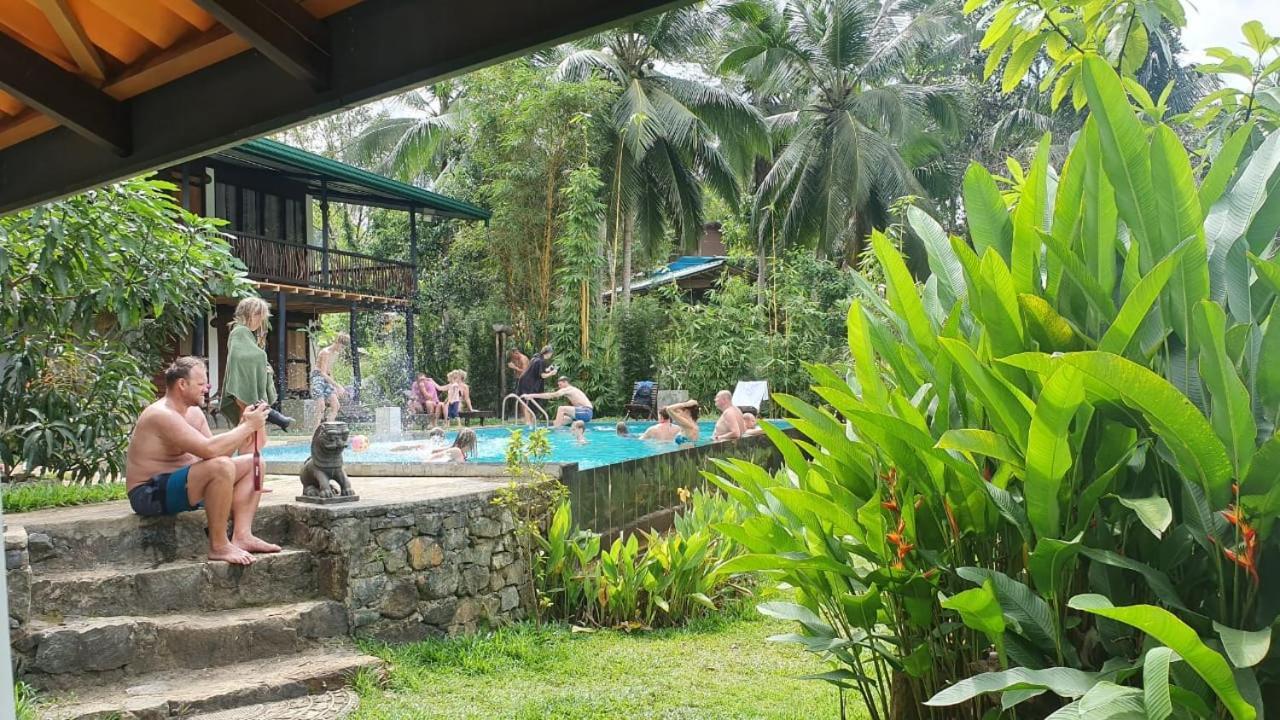 Explore Sinharaja Rain Forest Tour Camp Dombagoda Ngoại thất bức ảnh