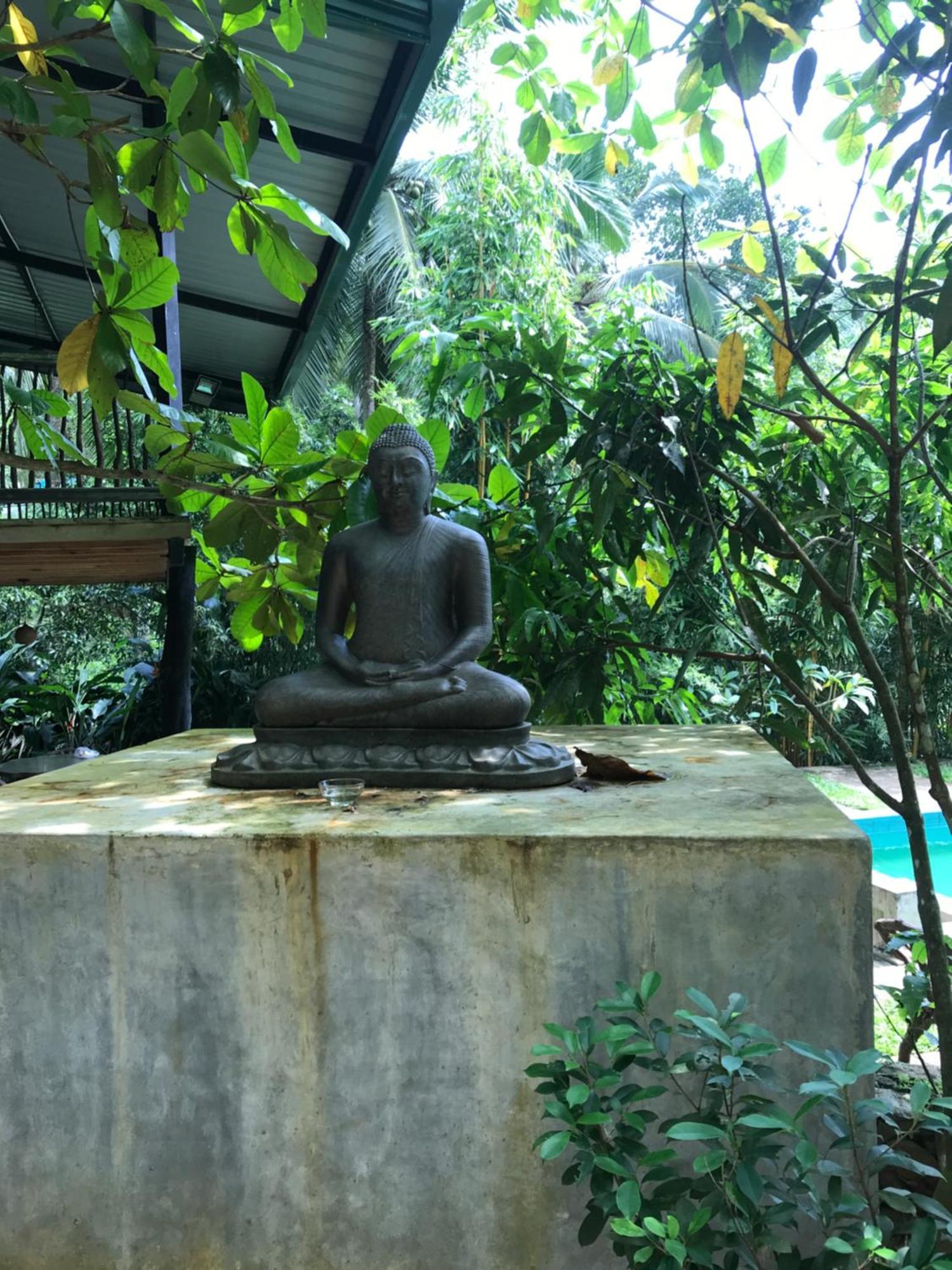 Explore Sinharaja Rain Forest Tour Camp Dombagoda Ngoại thất bức ảnh