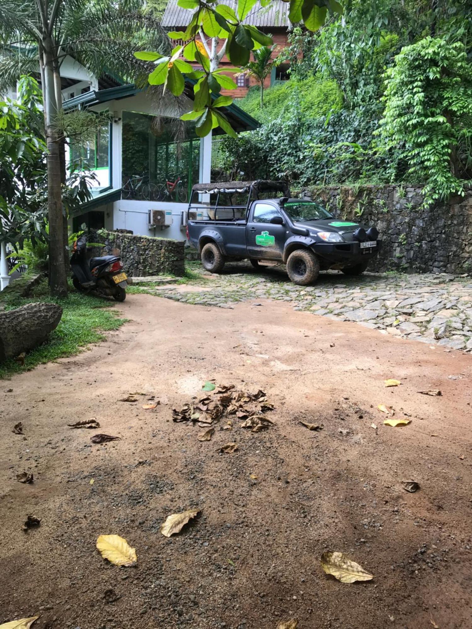 Explore Sinharaja Rain Forest Tour Camp Dombagoda Ngoại thất bức ảnh