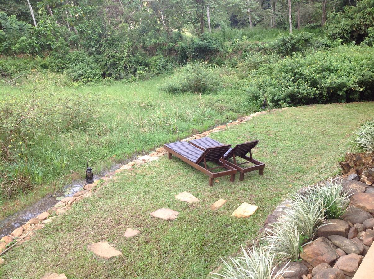 Explore Sinharaja Rain Forest Tour Camp Dombagoda Ngoại thất bức ảnh