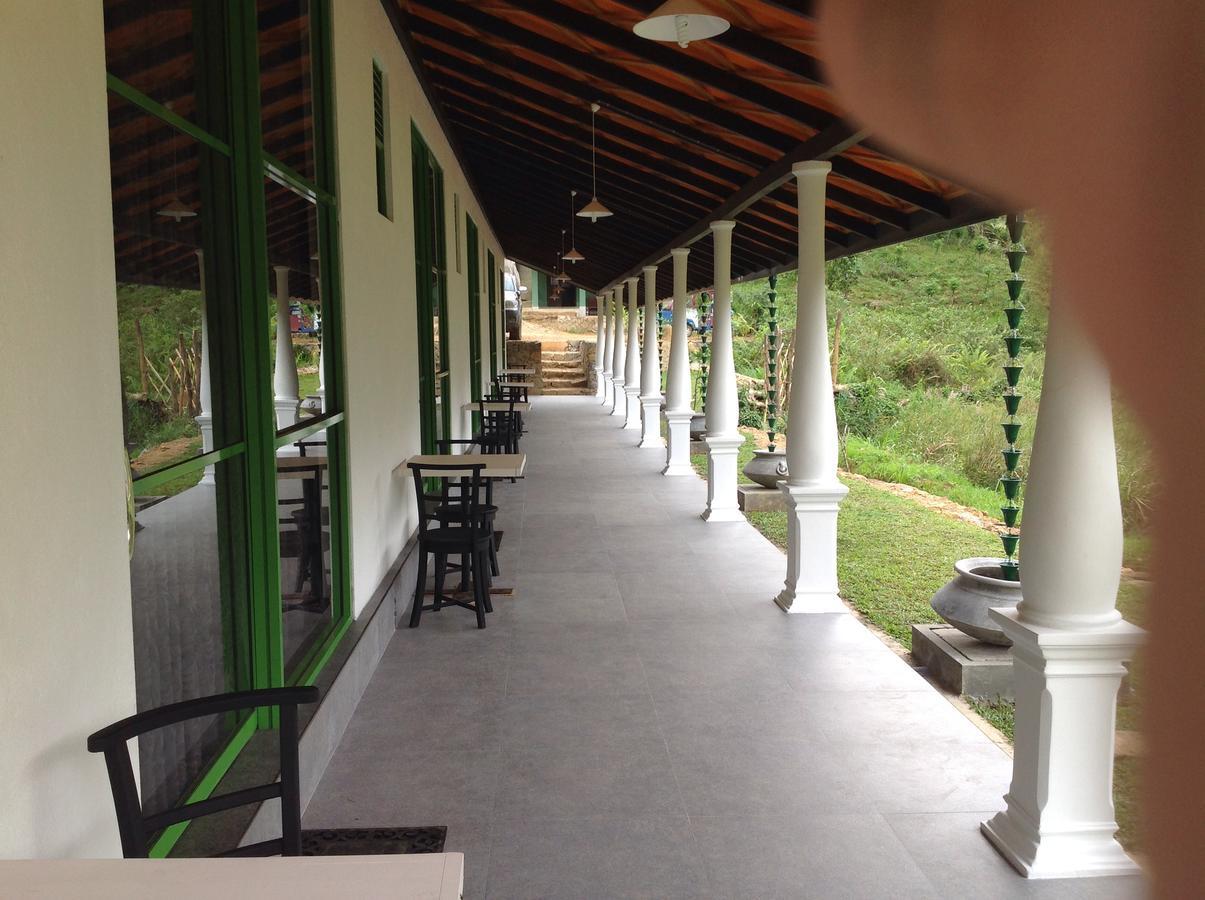 Explore Sinharaja Rain Forest Tour Camp Dombagoda Ngoại thất bức ảnh