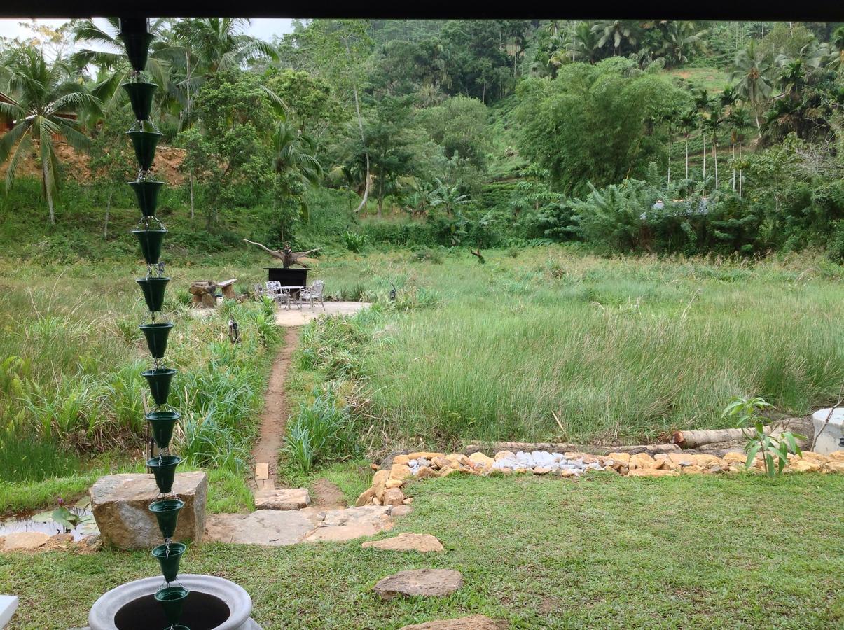 Explore Sinharaja Rain Forest Tour Camp Dombagoda Ngoại thất bức ảnh