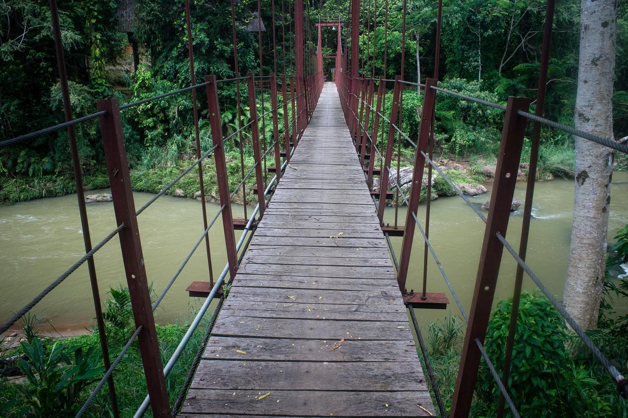Explore Sinharaja Rain Forest Tour Camp Dombagoda Ngoại thất bức ảnh