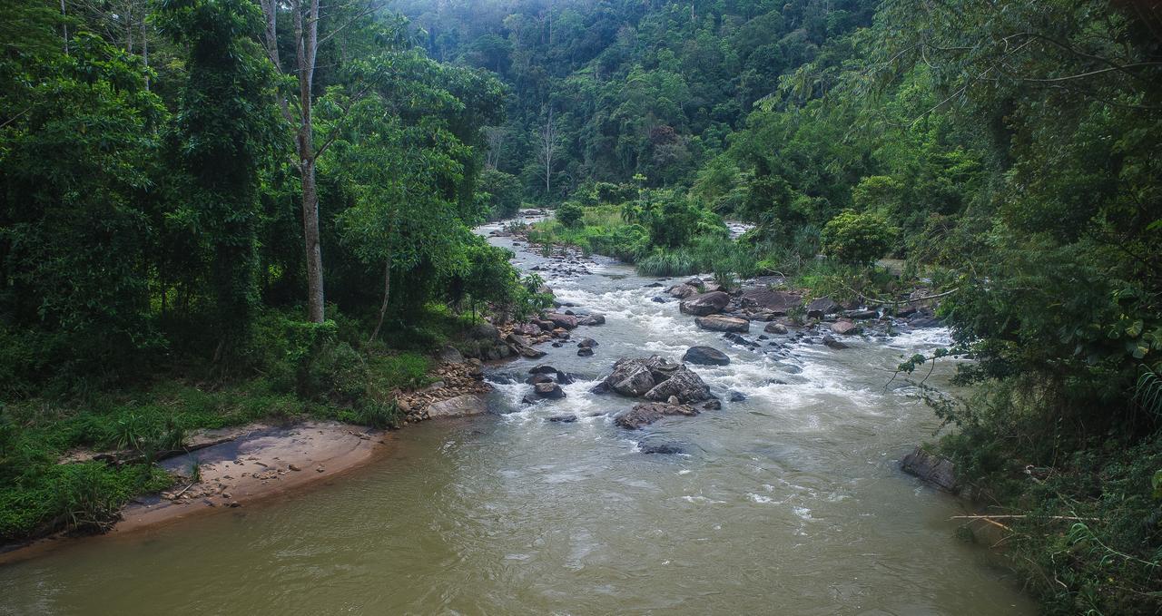 Explore Sinharaja Rain Forest Tour Camp Dombagoda Ngoại thất bức ảnh