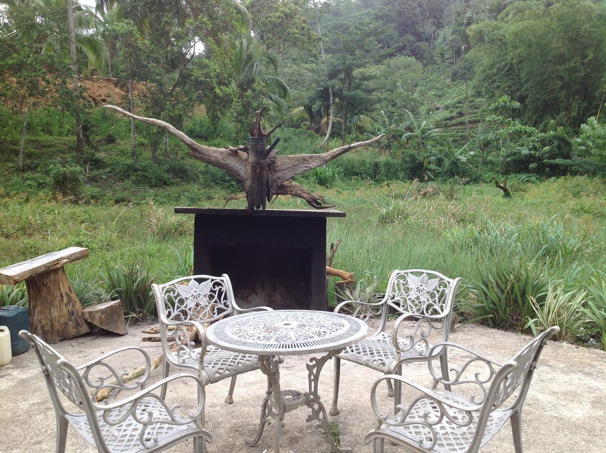 Explore Sinharaja Rain Forest Tour Camp Dombagoda Ngoại thất bức ảnh