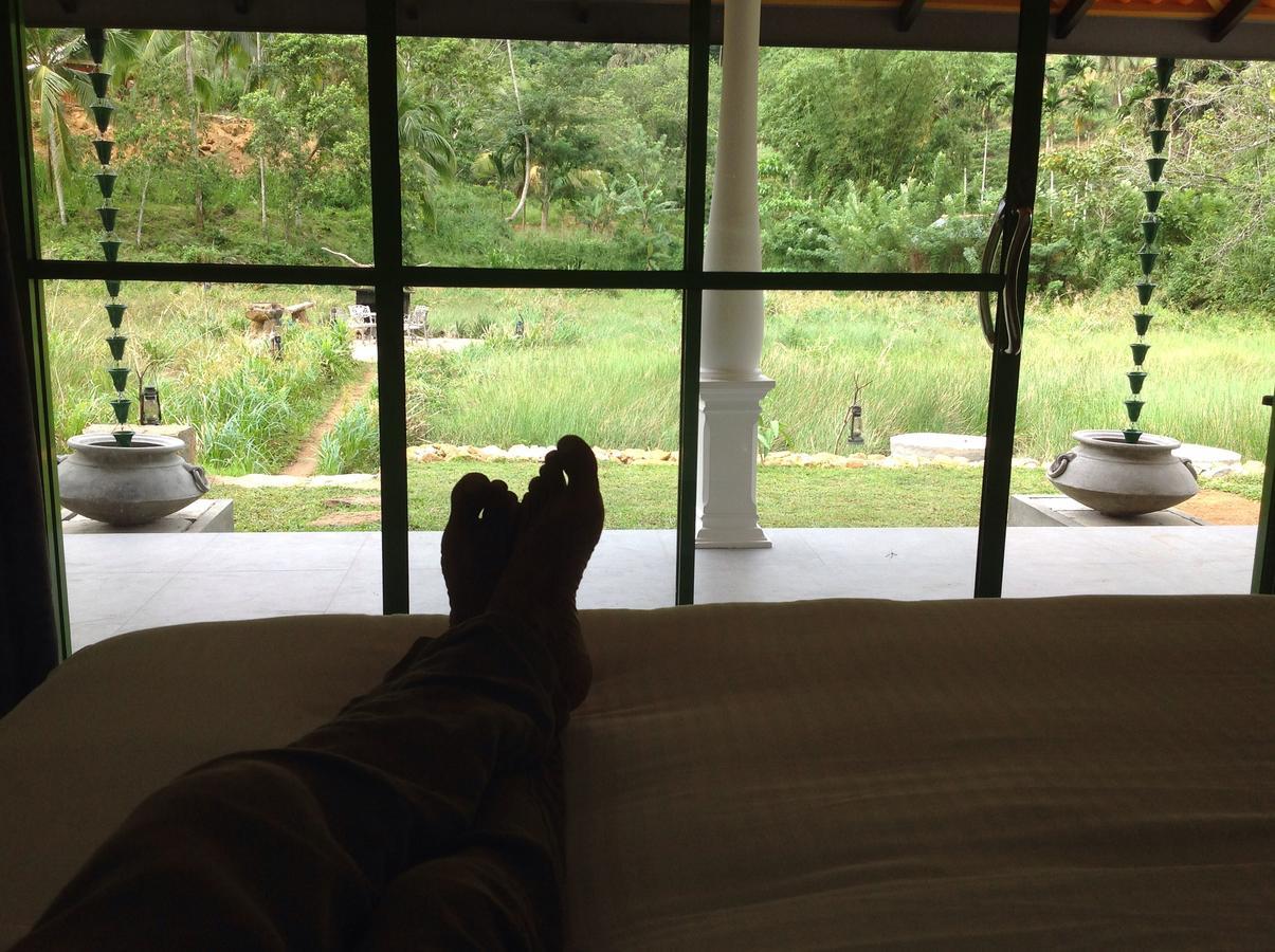 Explore Sinharaja Rain Forest Tour Camp Dombagoda Ngoại thất bức ảnh