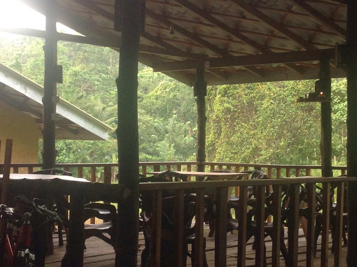 Explore Sinharaja Rain Forest Tour Camp Dombagoda Ngoại thất bức ảnh