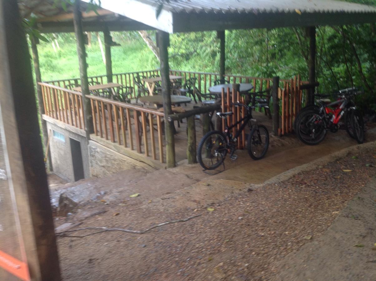 Explore Sinharaja Rain Forest Tour Camp Dombagoda Ngoại thất bức ảnh