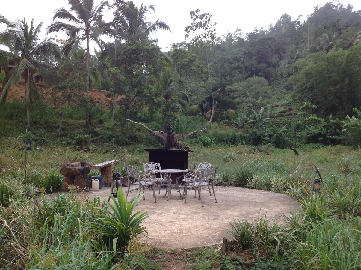 Explore Sinharaja Rain Forest Tour Camp Dombagoda Ngoại thất bức ảnh