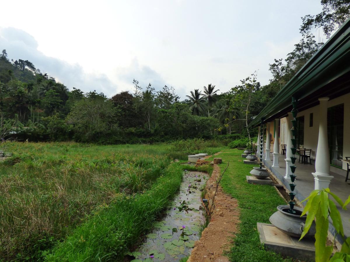 Explore Sinharaja Rain Forest Tour Camp Dombagoda Ngoại thất bức ảnh