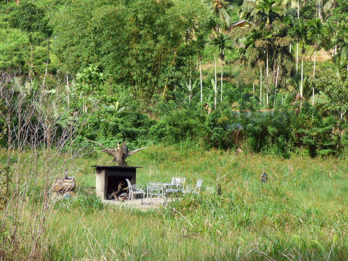 Explore Sinharaja Rain Forest Tour Camp Dombagoda Ngoại thất bức ảnh