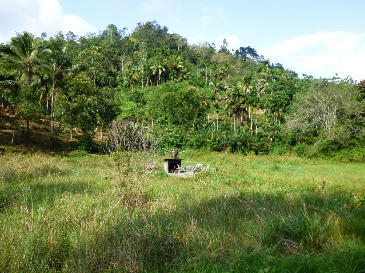 Explore Sinharaja Rain Forest Tour Camp Dombagoda Ngoại thất bức ảnh