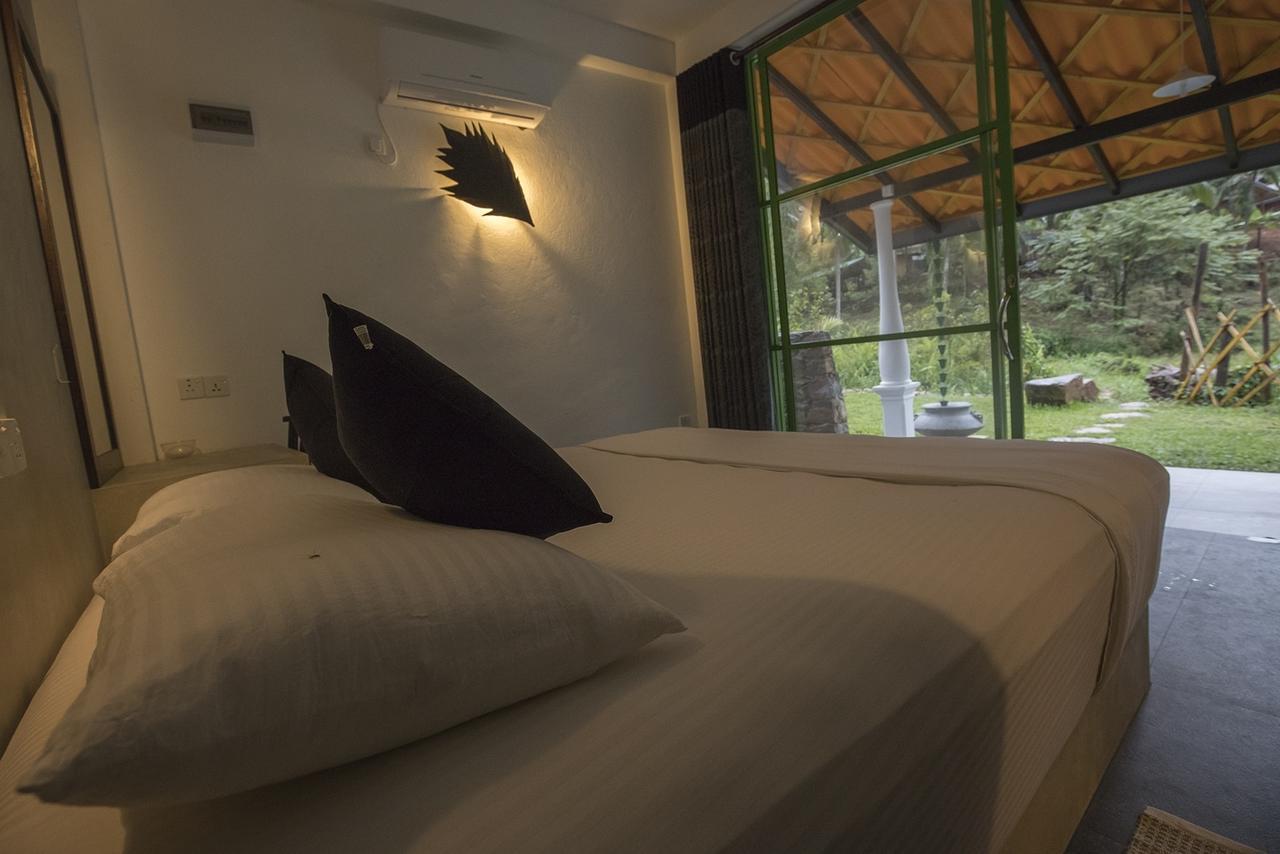 Explore Sinharaja Rain Forest Tour Camp Dombagoda Ngoại thất bức ảnh