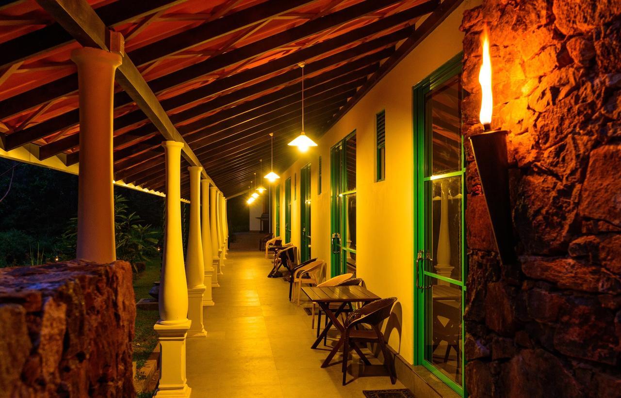 Explore Sinharaja Rain Forest Tour Camp Dombagoda Ngoại thất bức ảnh