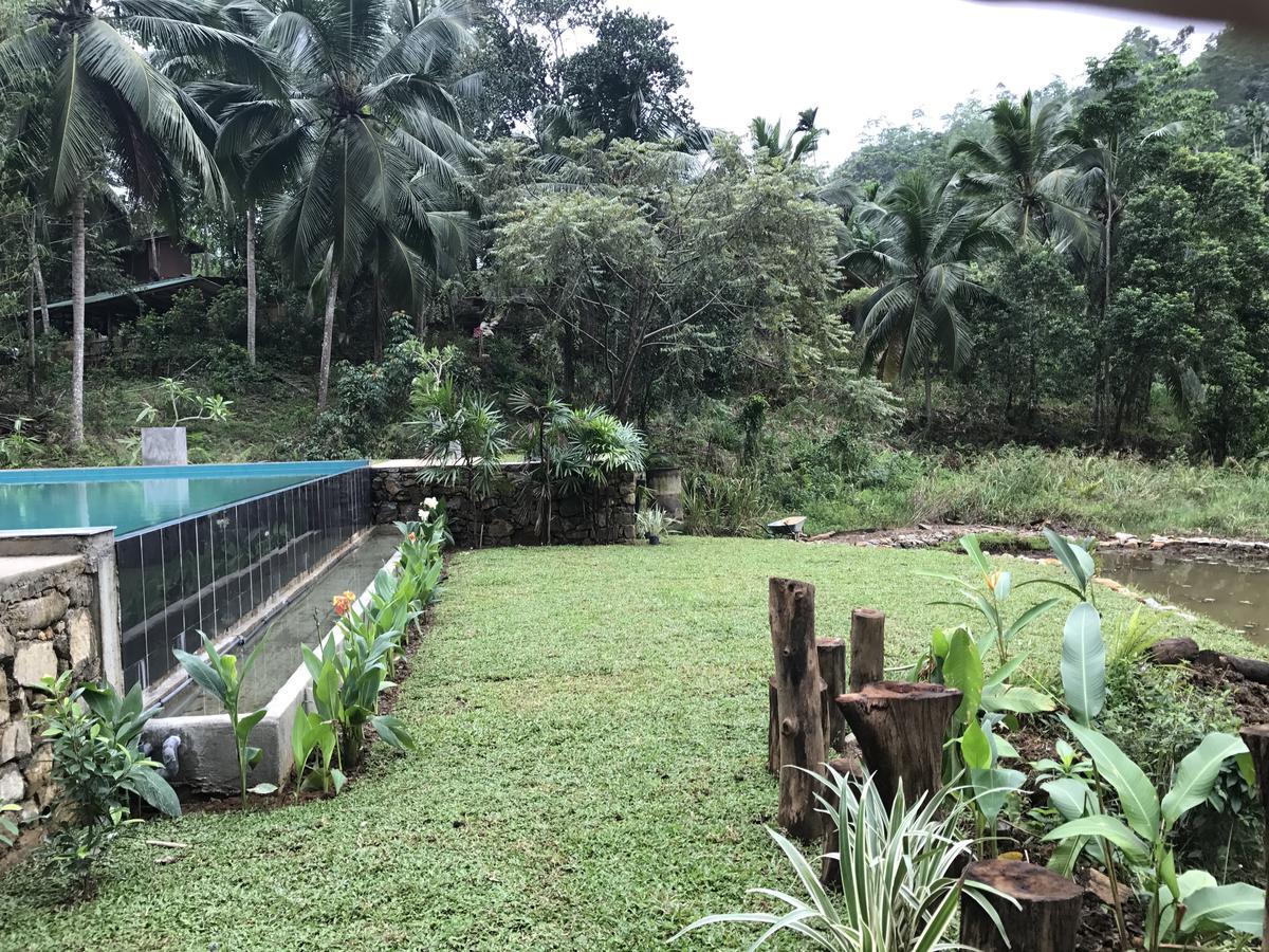 Explore Sinharaja Rain Forest Tour Camp Dombagoda Ngoại thất bức ảnh