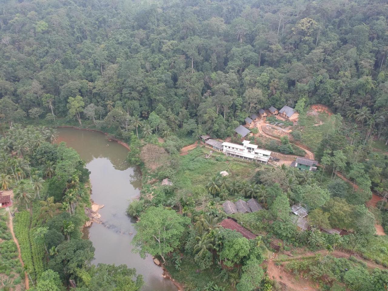 Explore Sinharaja Rain Forest Tour Camp Dombagoda Ngoại thất bức ảnh