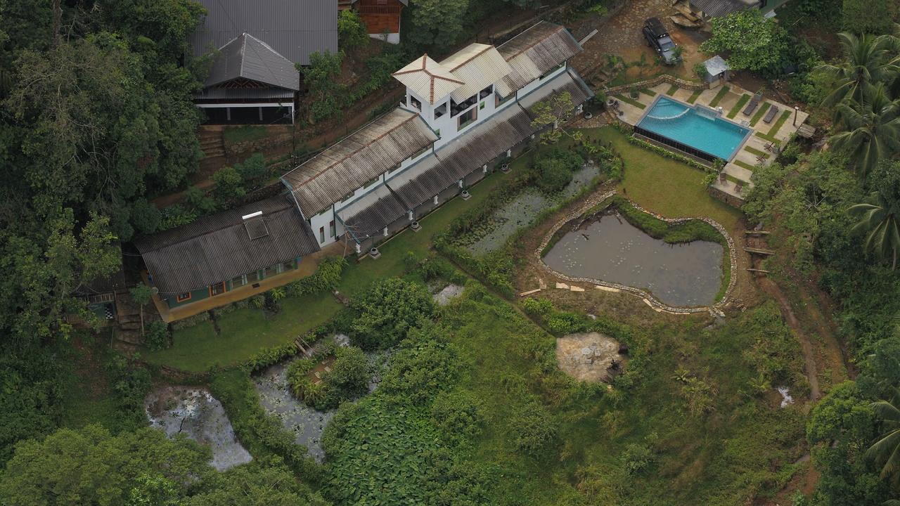 Explore Sinharaja Rain Forest Tour Camp Dombagoda Ngoại thất bức ảnh