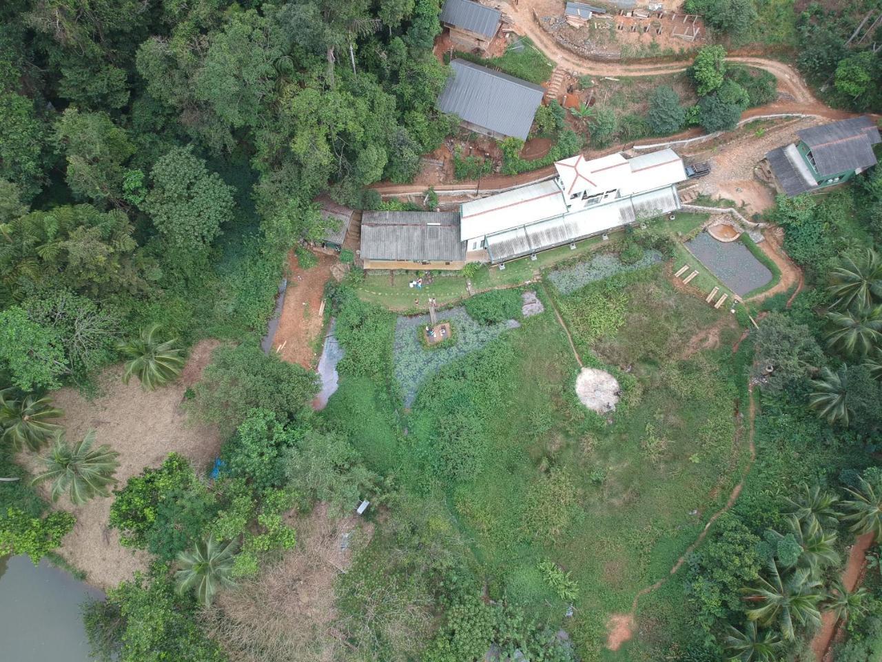 Explore Sinharaja Rain Forest Tour Camp Dombagoda Ngoại thất bức ảnh
