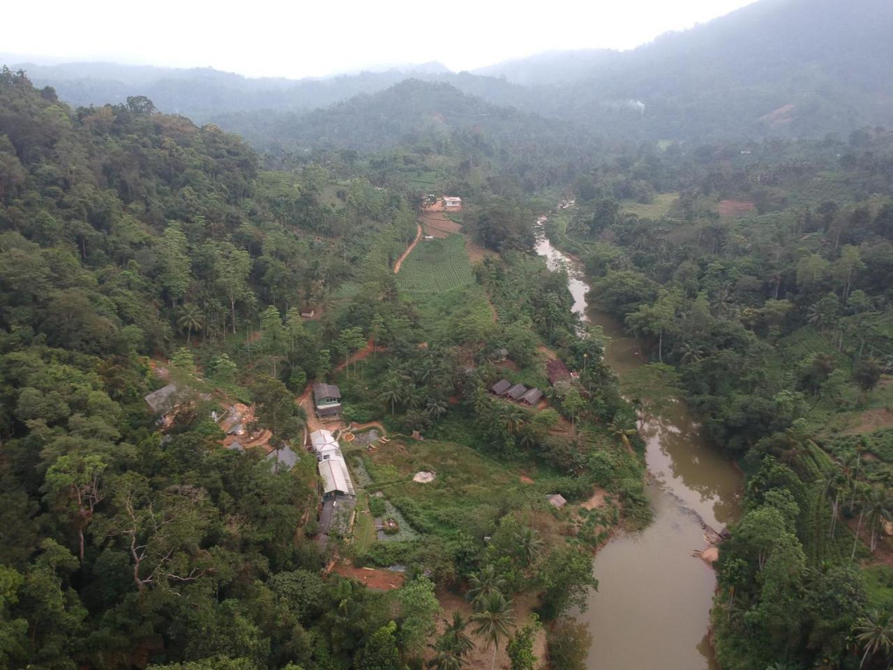 Explore Sinharaja Rain Forest Tour Camp Dombagoda Ngoại thất bức ảnh